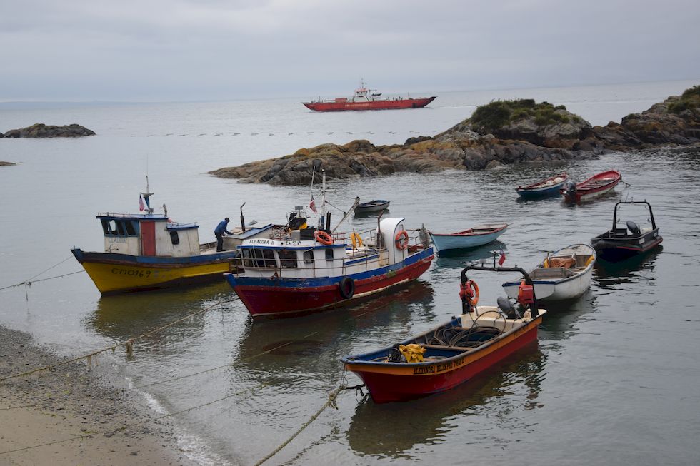 v028ap-0678-1-Caleta-La-Arena-7-12-m.jpg