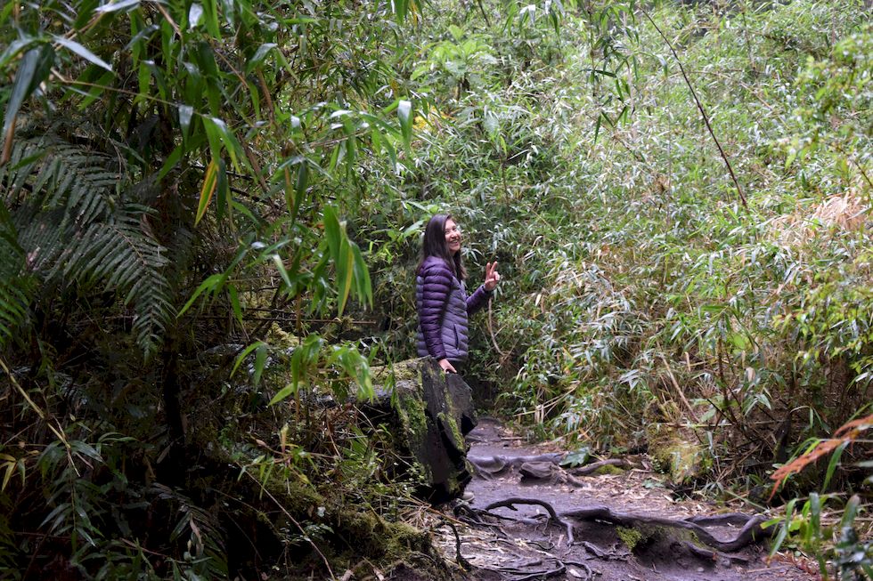 u094ap-0175-1-Las-Cascadas-12-11-m.jpg