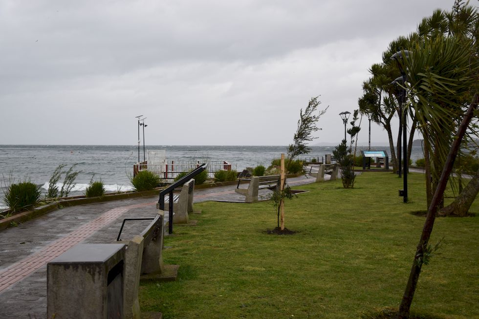 F124ap-1168-1-Puerto-Varas-Mole-Regen-29-8-m.jpg