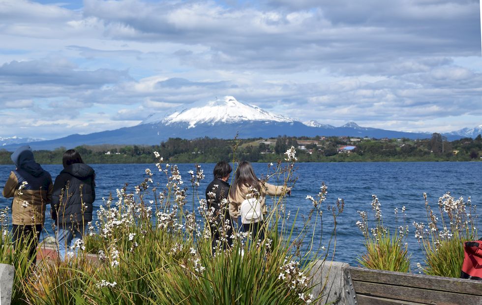 H002ap-0006-1-Puerto-Varas-Mole-1-11-m.jpg