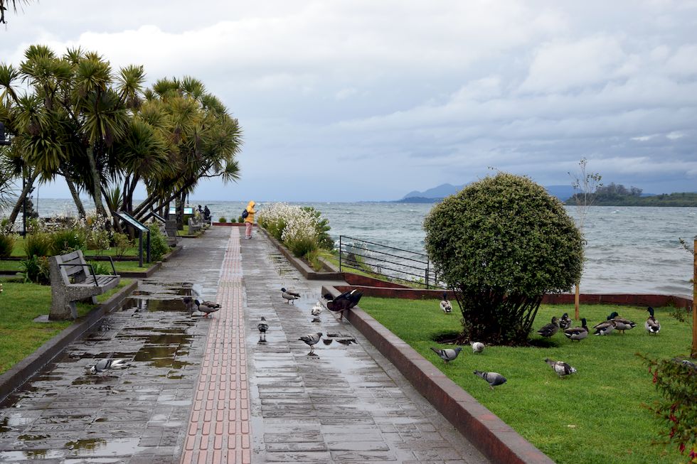 H011ap-0044-1-Puerto-Varas-Mole-6-11-m.jpg