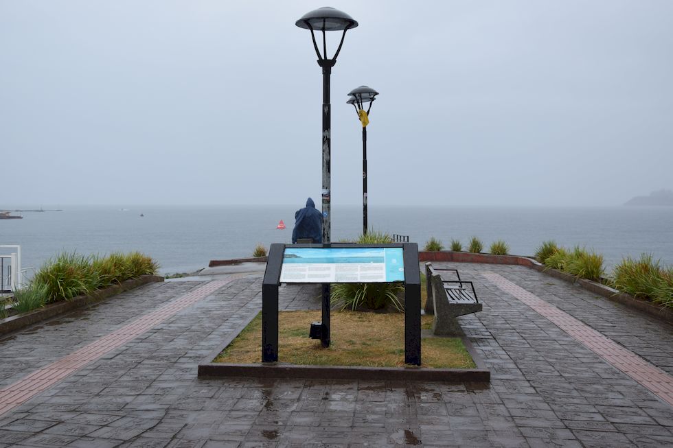 I148ap-1245-1-Puerto-Varas-Mole-Regen-21-2-m.jpg