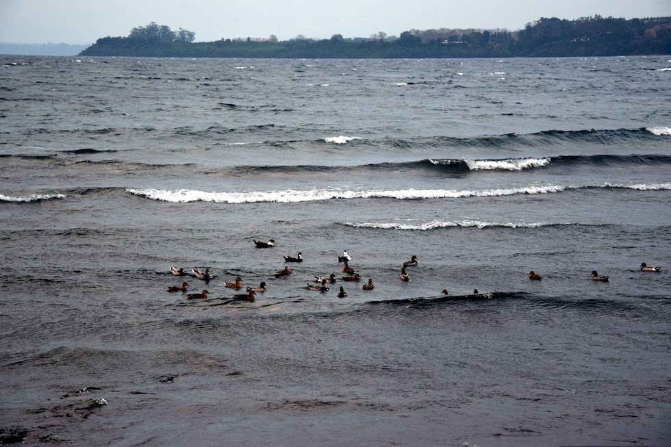 r27ap-0641-1-Lago-Llanquihue-Enten-18-5-m.jpg