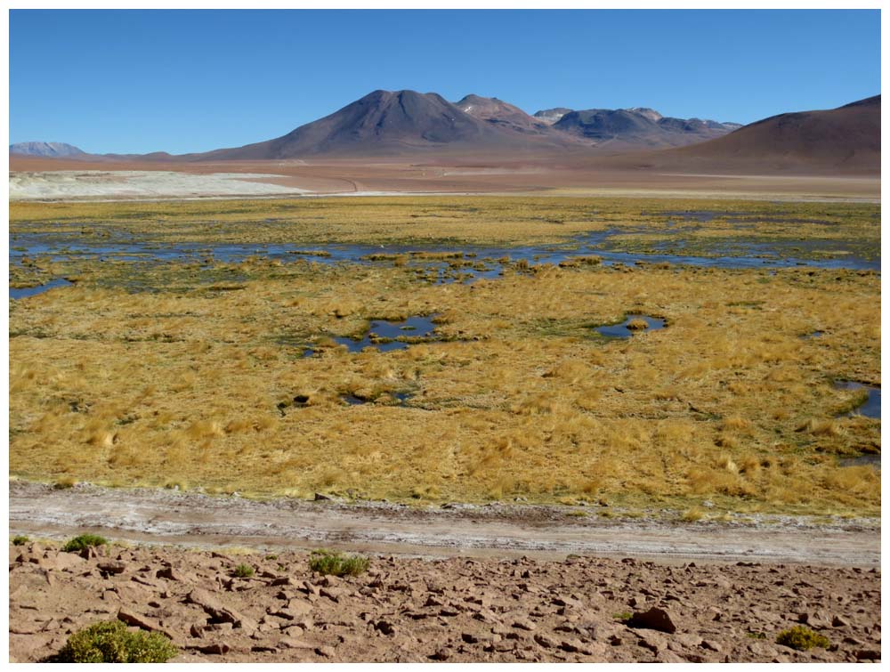 Fahrt vom El-Tatio-Geysirfeld über Machuca nach San Pedro de Atacama