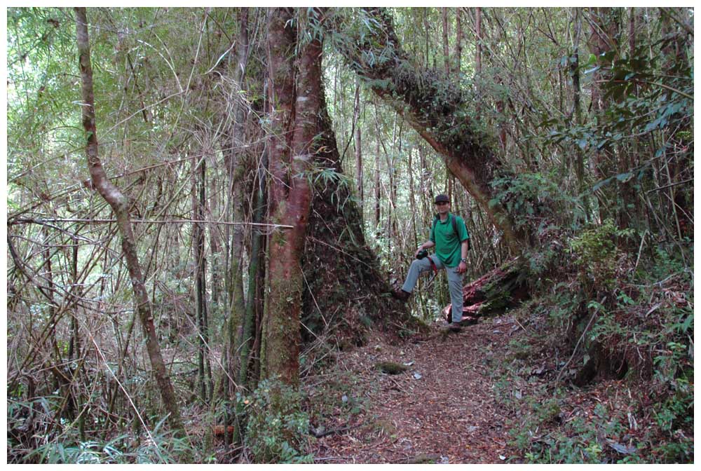 Im Nationalpark Alerce Andino, Hans