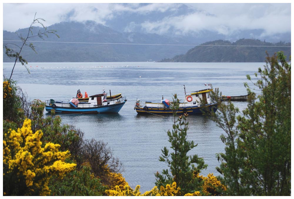 Estuario de Reloncav