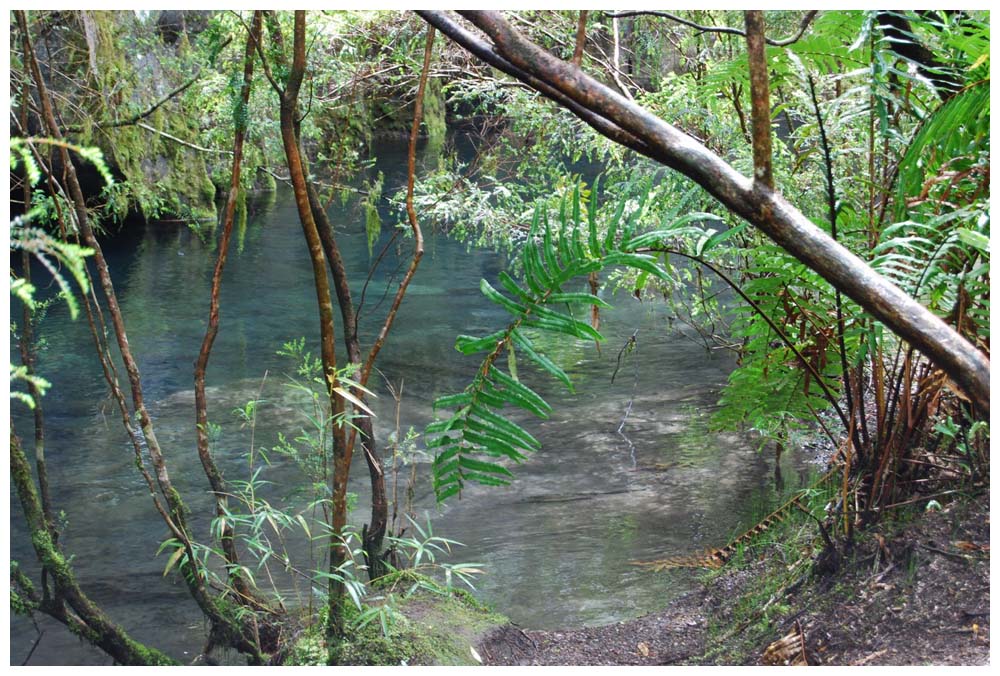 Saltos de Petrohue