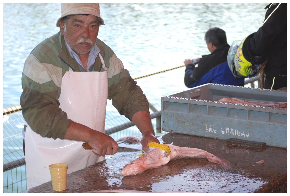 Valdivia, Mercado Fluvial